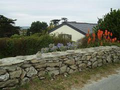 129 Ile de Batz_000004